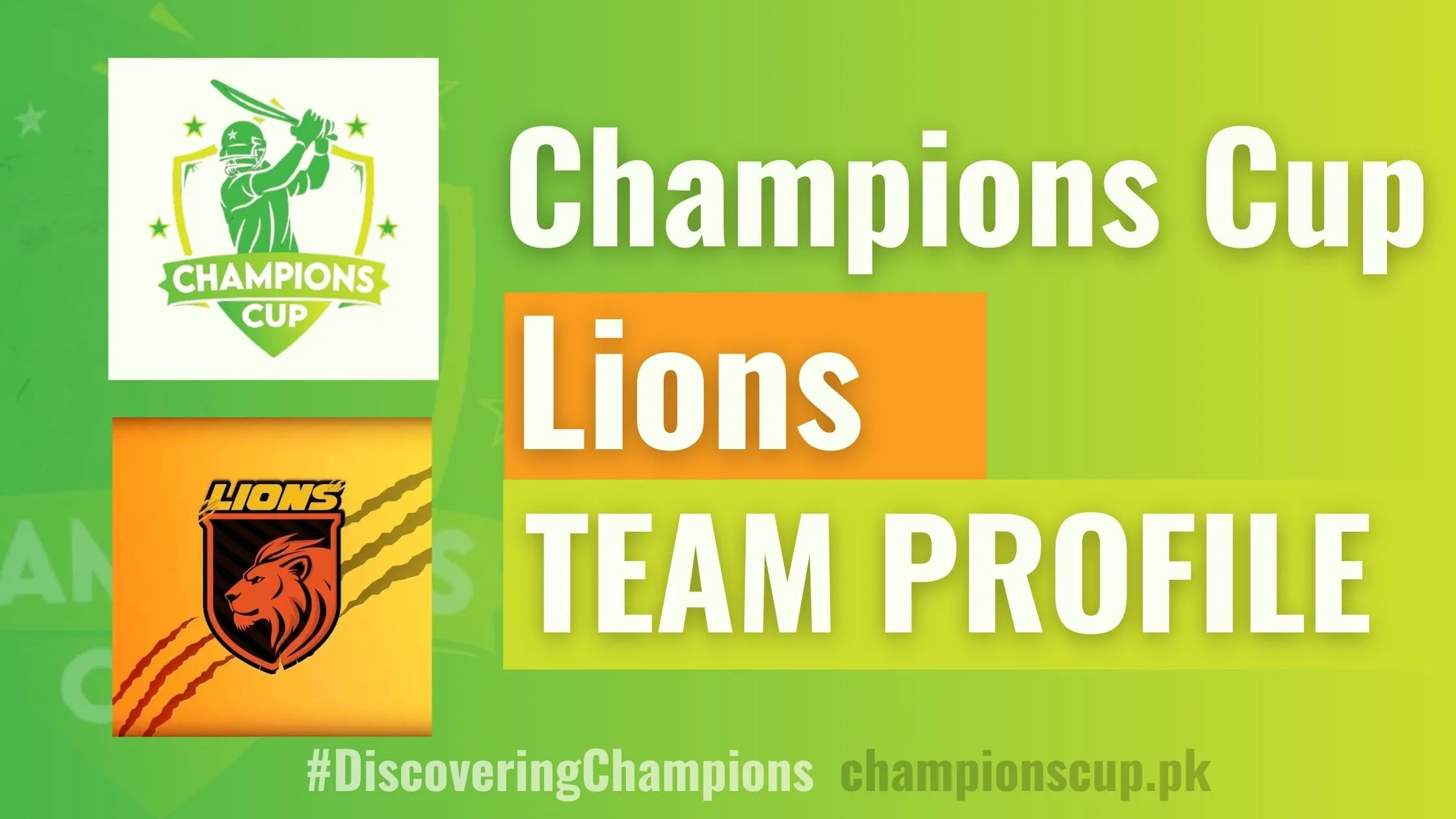 lions team profile