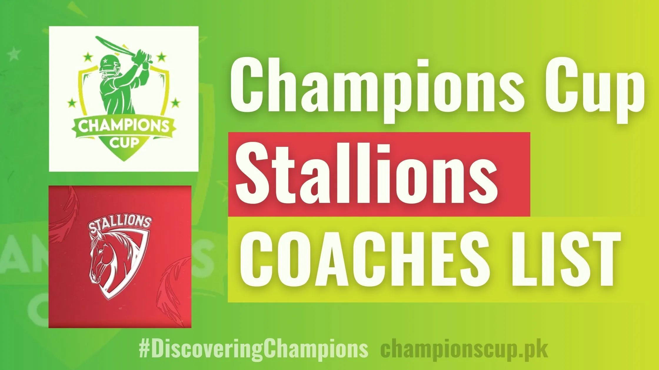 Stallions Coaches